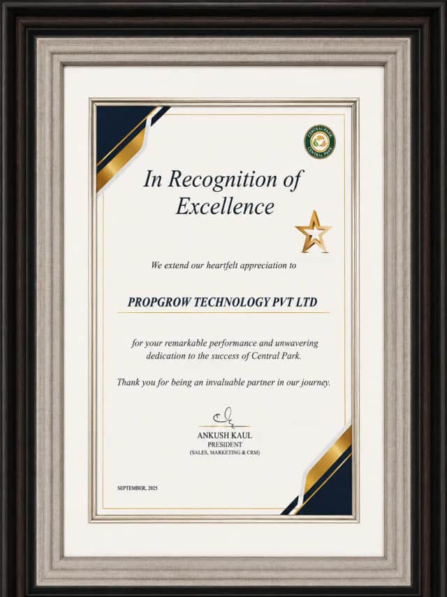 Excellence Award By Central Park