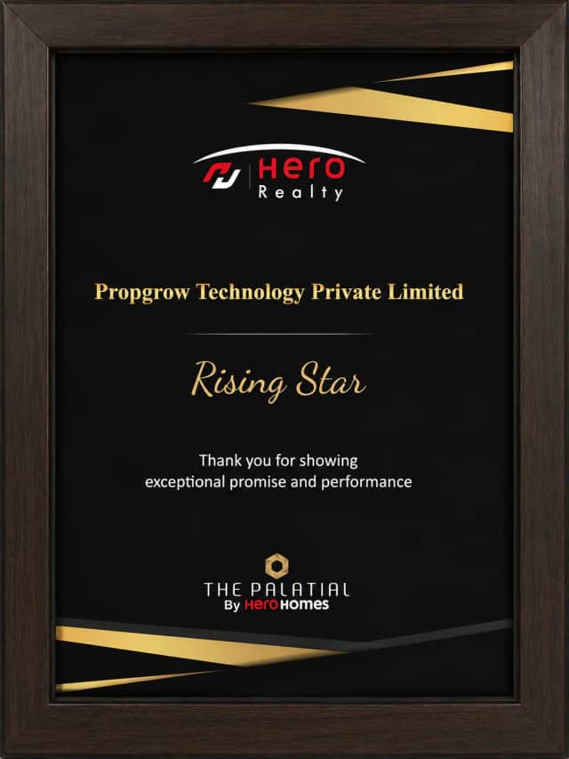 Rising Star Award By Hero Realty